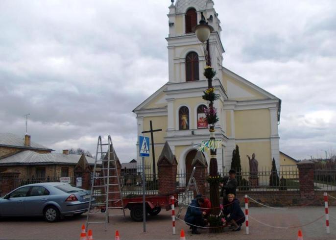 W Babiaku wyrosła palma