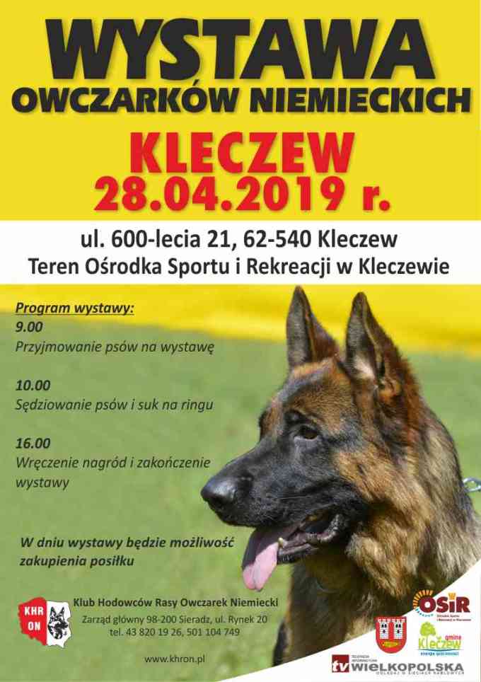 Wystawa owczarków niemieckich