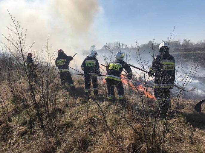 Pożar traw we Wrąbczynie