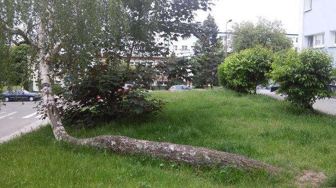 Foto – pstryk … – Wola przetrwania