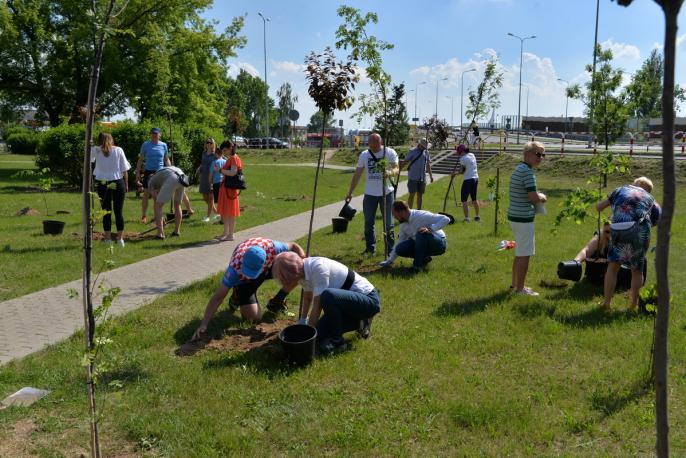 30 drzew na 30. rocznicę