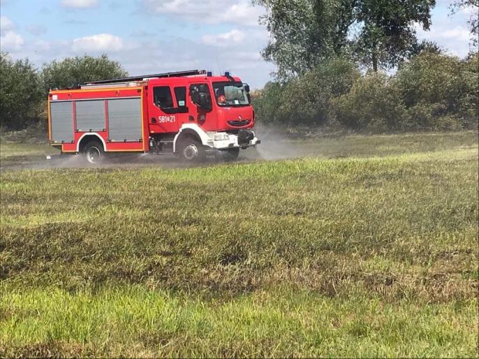 Pożar łąki w Kopojnie