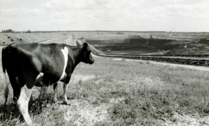 Kopalnie węgla brunatnego planują zwolnienia