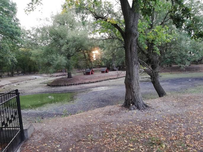 Czytelnicy piszą … – Dramat w parku