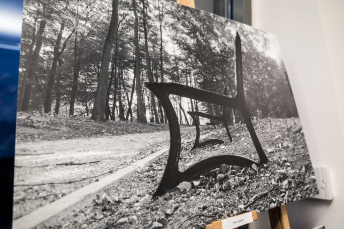 PO PLENERZE W GOŁUCHOWIE