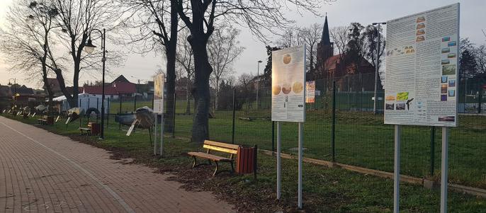 Nowe tablice przy ścieżce edukacyjnej w Powidzu