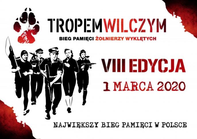 Tropem Wilczy w Kole