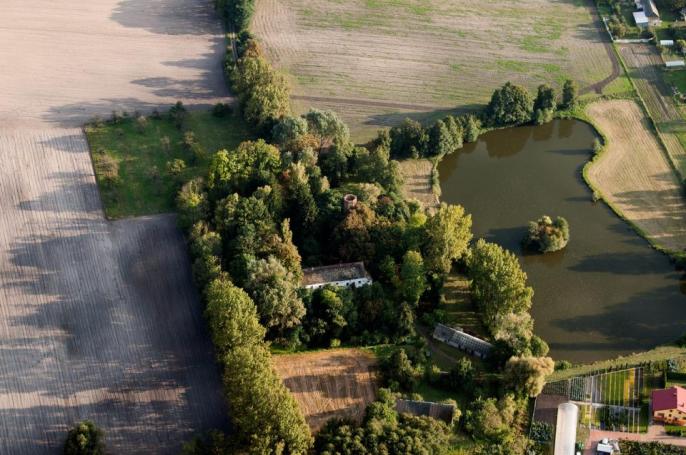 Wyszyna w czołówce plebiscytu