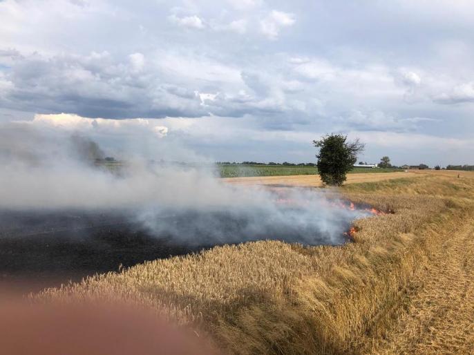 Pożar zboża na pniu