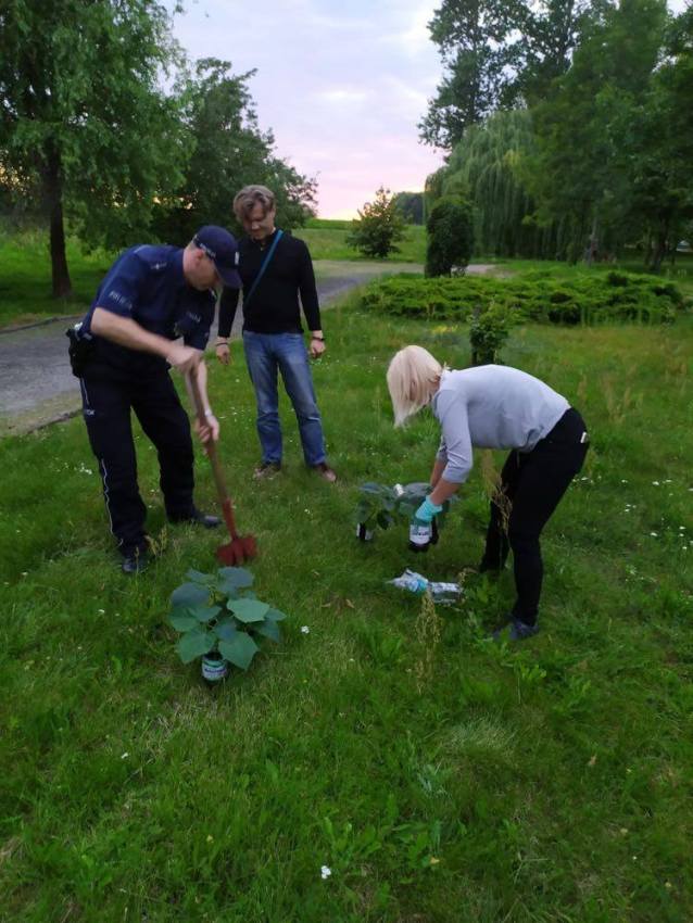 Policjanci włączyli się w akcję sadzenia drzewek