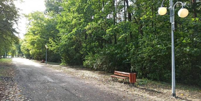 Oświetlenie części ulicy Gajowej