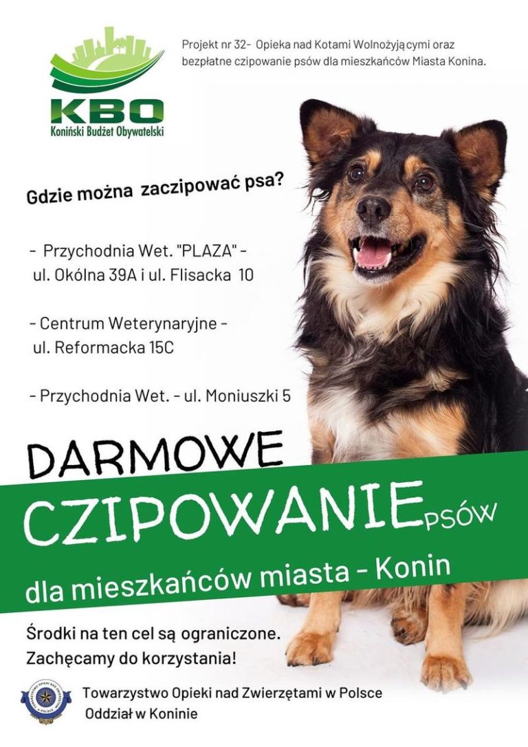 Darmowe czipowanie psów dla mieszkańców Miasta Konina