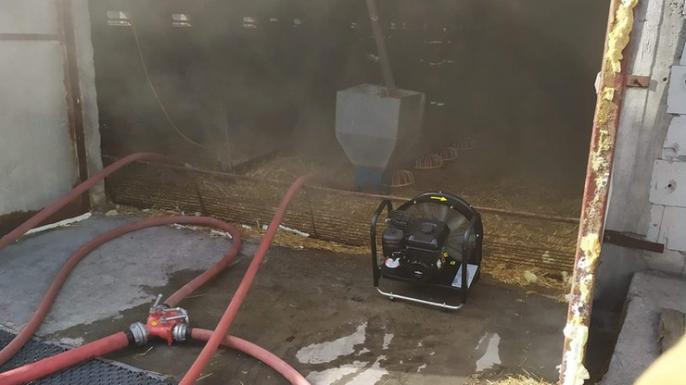 7 tysięcy piskląt zginęło w pożarze kurnika, 13 tysięcy na obserwacji