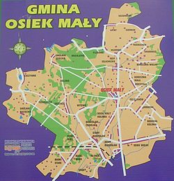 Zakatował psa! Grozi mu do 5 lat pozbawienia wolności