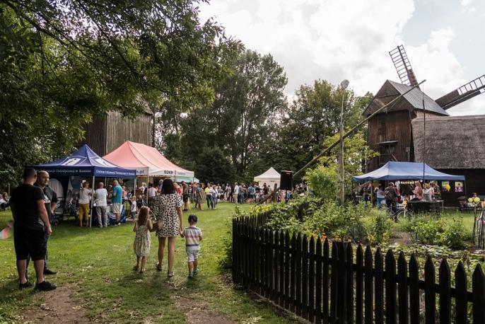 Dzień pszczół w Muzeum Okręgowym w Koninie