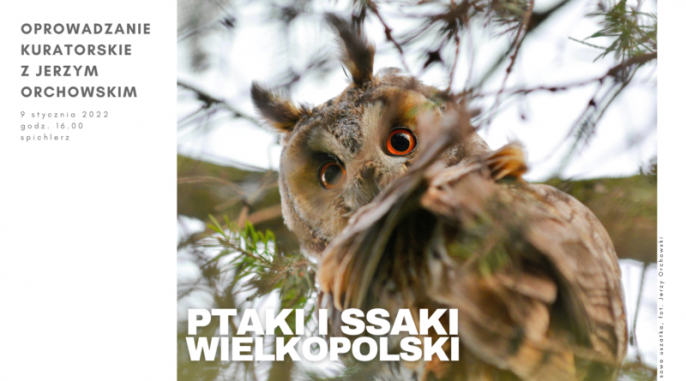 PTAKI I SSAKI WIELKOPOLSKI – oprowadzanie kuratorskie