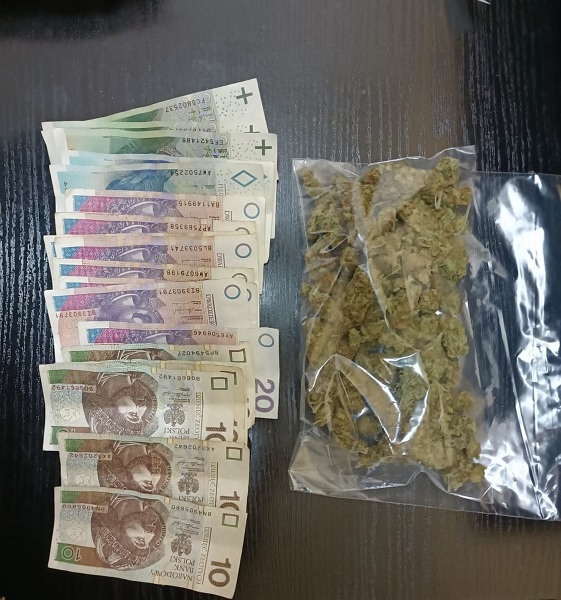 Prawie 80 gramów marihuany znalezione w mieszkaniu 23-latka