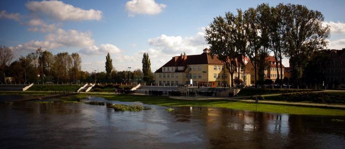 OŚWIADCZ SIĘ – projekt w kampanii społecznej DRUGIE ŻYCIE