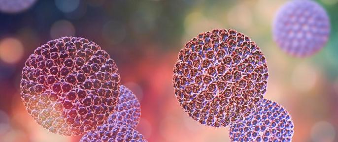 Grypa – komunikat Urzędu Miejskiego w Koninie