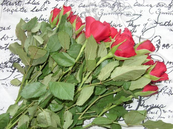 8 marca – Dzień Kobiet